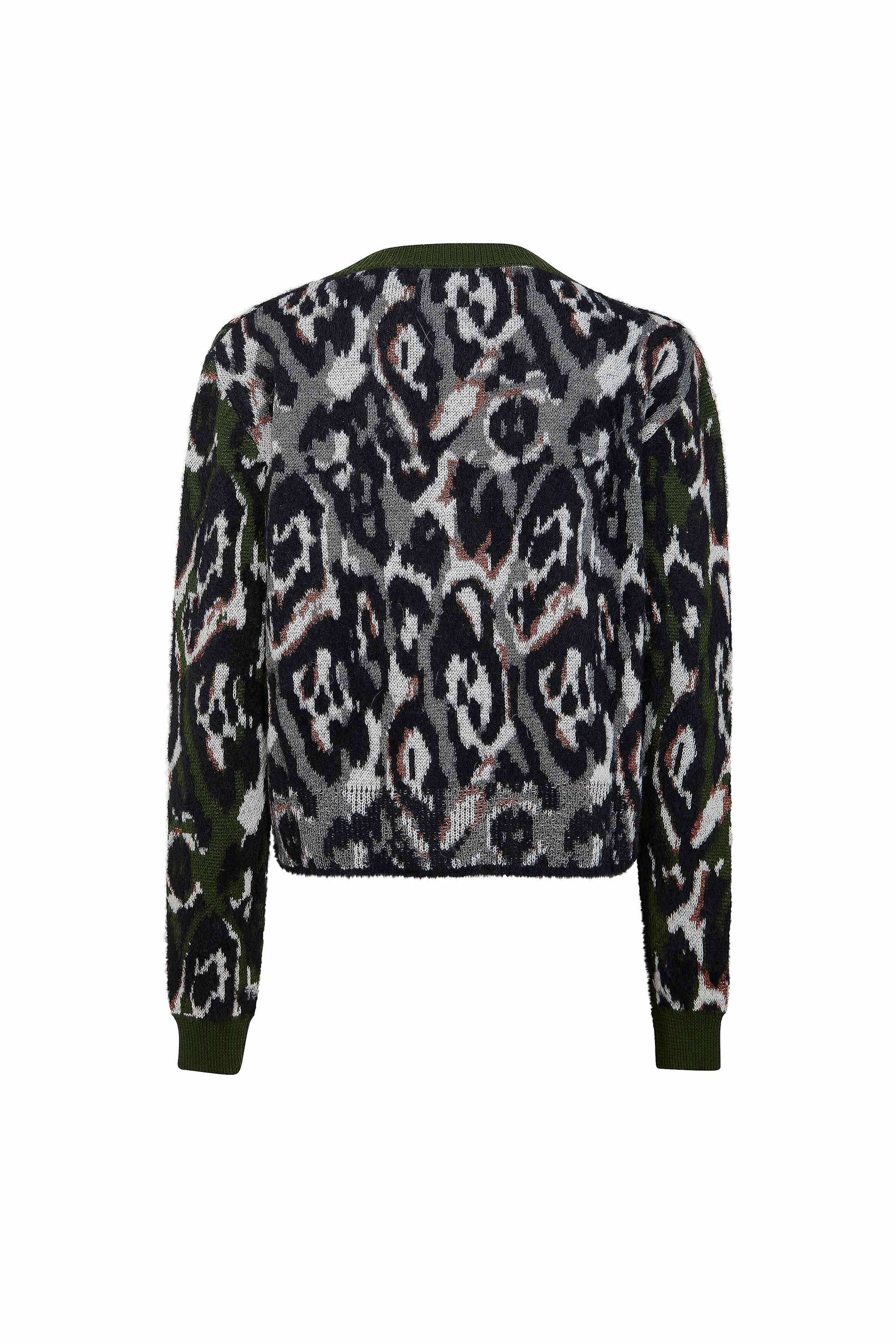 #colore_verde-grigio